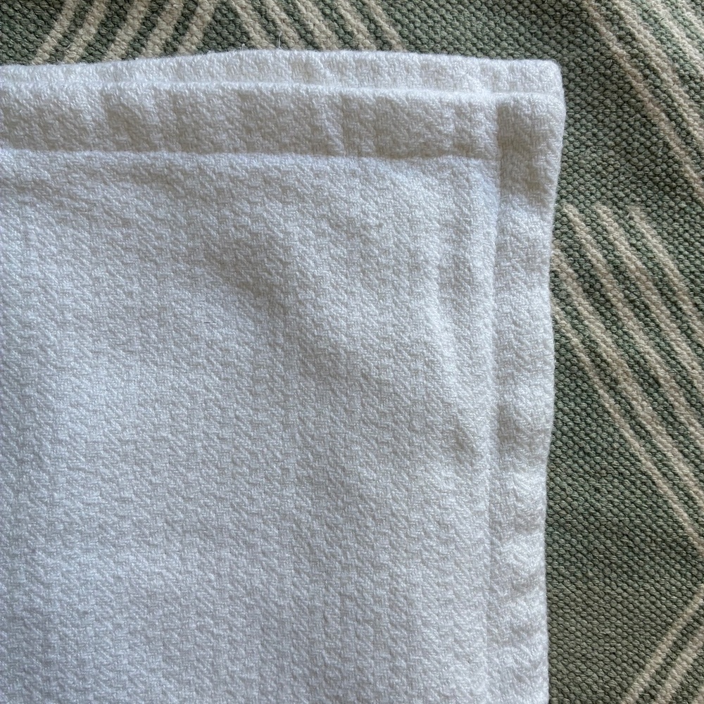 Carol & frank Monroe Herringbone Pattern Euro Shams 2
